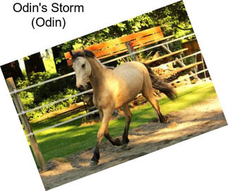 Odin\'s Storm (Odin)