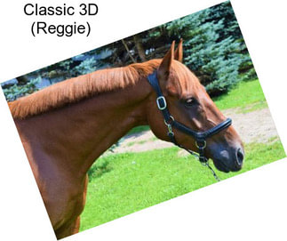 Classic 3D (Reggie)