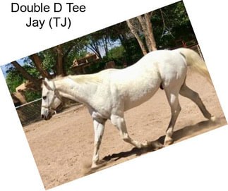 Double D Tee Jay (TJ)