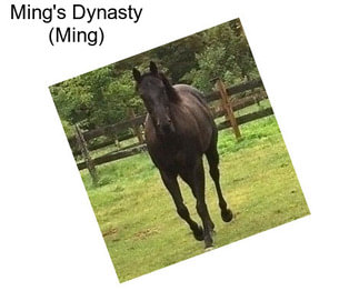 Ming\'s Dynasty (Ming)