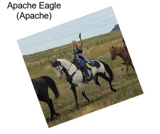 Apache Eagle (Apache)