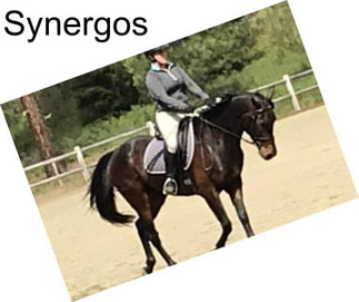 Synergos