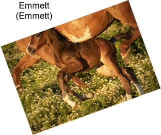 Emmett (Emmett)