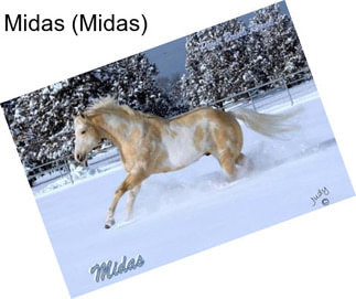 Midas (Midas)