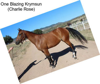 One Blazing Krymsun (Charlie Rose)