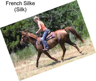 French Silke (Silk)