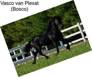 Vasco van Plexat (Bosco)