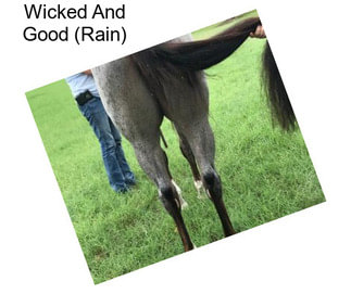 Wicked And Good (Rain)