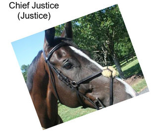 Chief Justice (Justice)