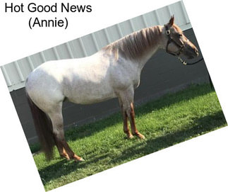 Hot Good News (Annie)