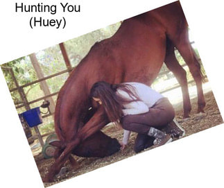 Hunting You (Huey)