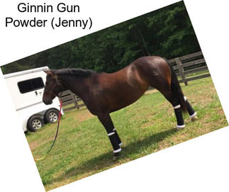 Ginnin Gun Powder (Jenny)