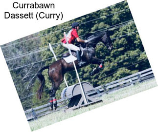 Currabawn Dassett (Curry)
