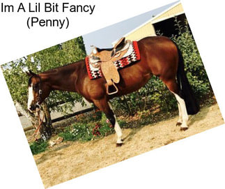 Im A Lil Bit Fancy (Penny)