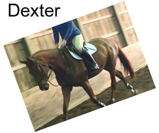 Dexter