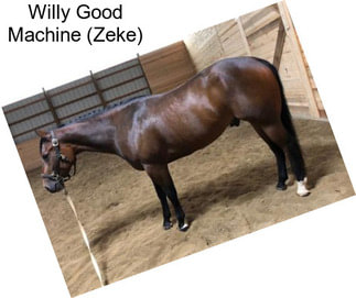 Willy Good Machine (Zeke)