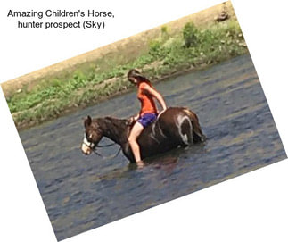 Amazing Children\'s Horse, hunter prospect (Sky)