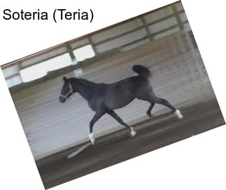 Soteria (Teria)