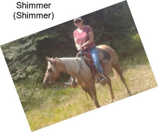 Shimmer (Shimmer)