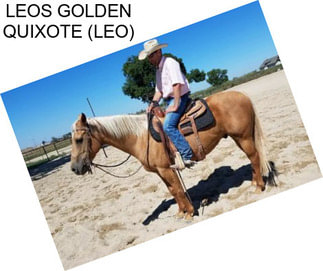 LEOS GOLDEN QUIXOTE (LEO)