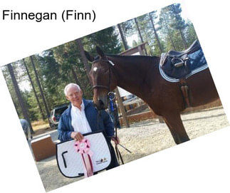 Finnegan (Finn)