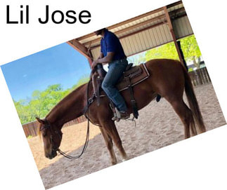Lil Jose