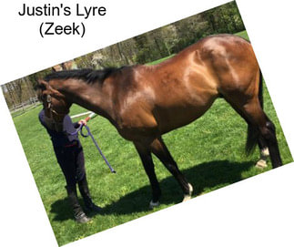 Justin\'s Lyre (Zeek)