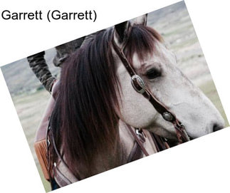 Garrett (Garrett)