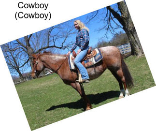 Cowboy (Cowboy)