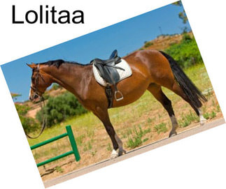 Lolitaa