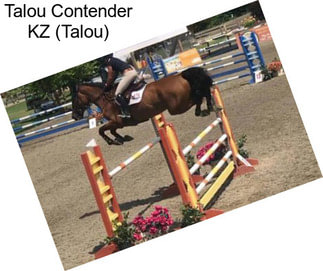 Talou Contender KZ (Talou)