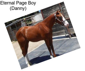 Eternal Page Boy (Danny)