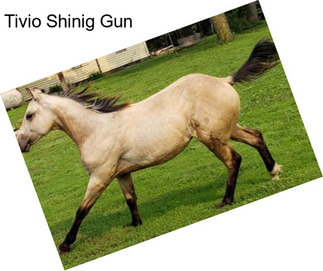 Tivio Shinig Gun