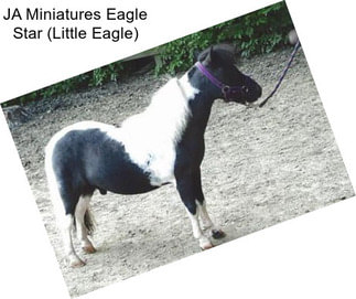 JA Miniatures Eagle Star (Little Eagle)