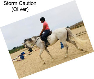 Storm Caution (Oliver)