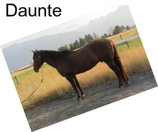 Daunte