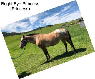 Bright Eye Princess (Princess)