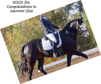 SOLD! Zia: Congratulations to Jasmine! (Zia)