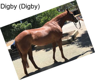 Digby (Digby)