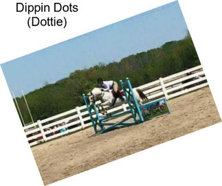 Dippin Dots (Dottie)