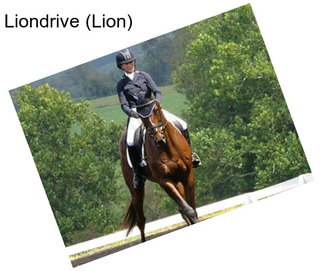 Liondrive (Lion)