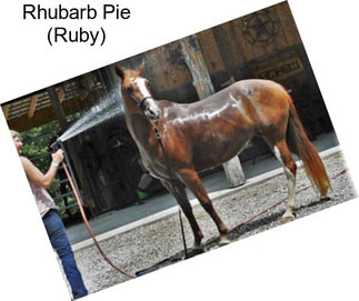 Rhubarb Pie (Ruby)