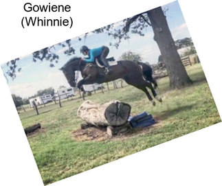 Gowiene (Whinnie)