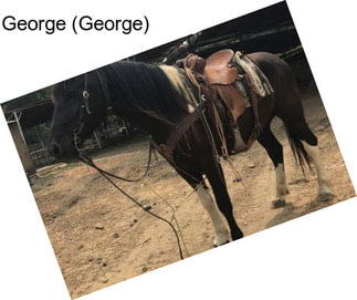 George (George)