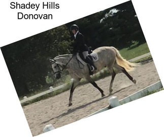 Shadey Hills Donovan