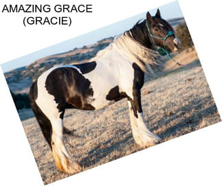 AMAZING GRACE (GRACIE)