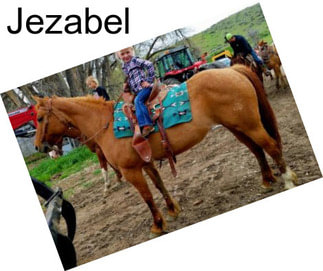 Jezabel