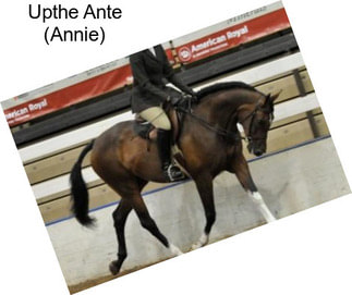Upthe Ante (Annie)