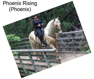Phoenix Rising (Phoenix)