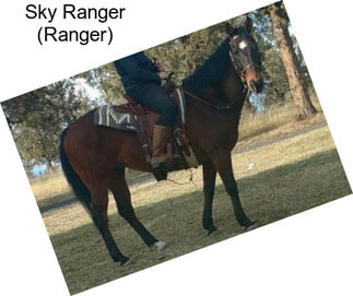 Sky Ranger (Ranger)